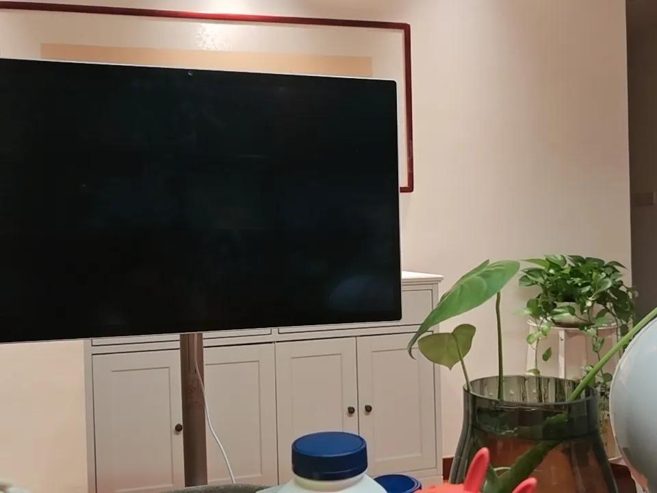 最近我干了好几件大事。
第一件，把武汉的房子装修了一下。虽说交给了公司处理，也需