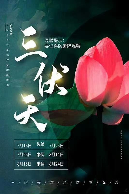 加长版三伏天要来了40天加长版三伏天将至，闷热桑拿模式超长待机马上就要迎来今年的