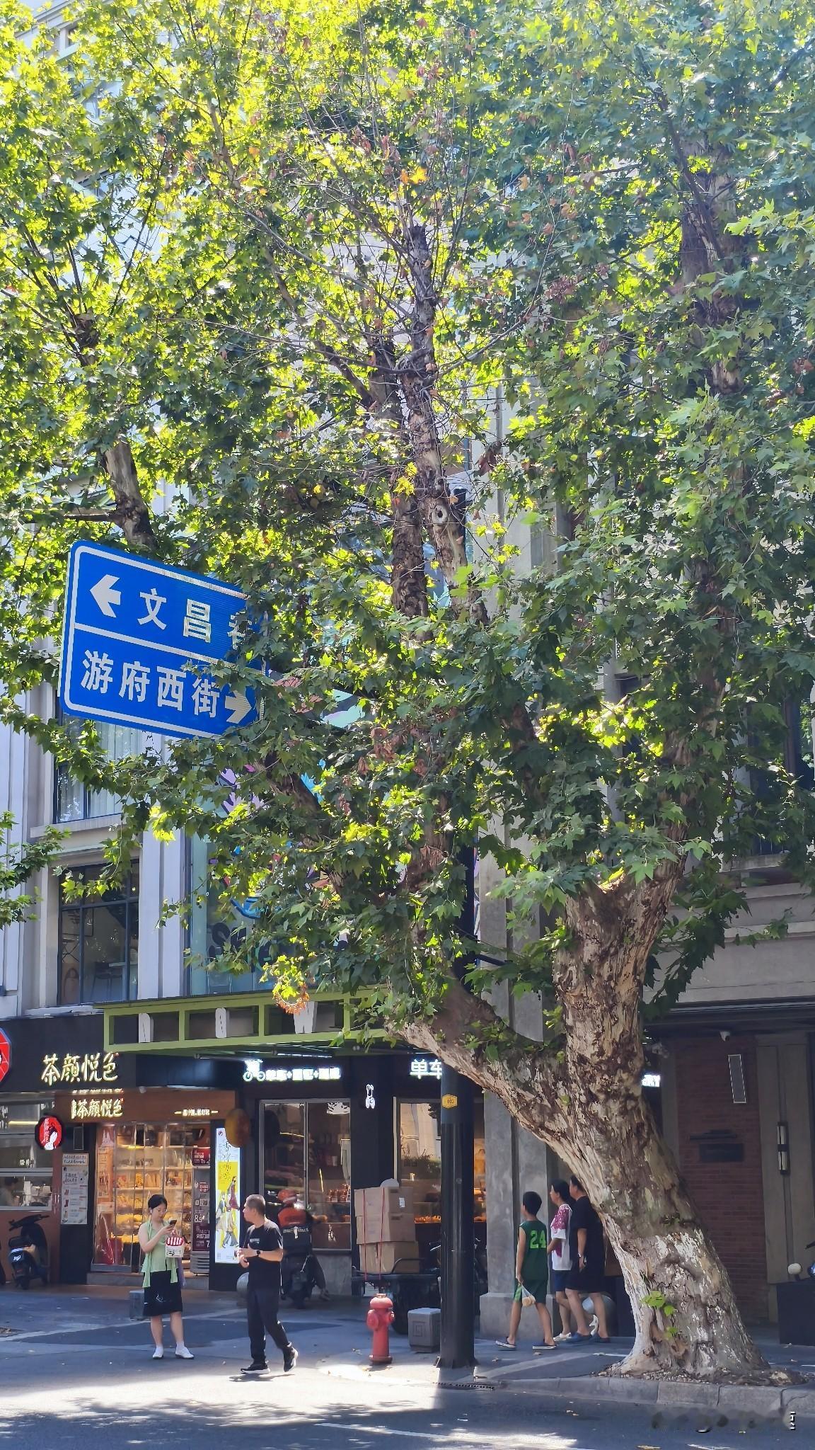 这天气真是热疯啦！眼下大暑和中伏凑一块儿，江苏直接热到霸榜。7月30日江苏省气象
