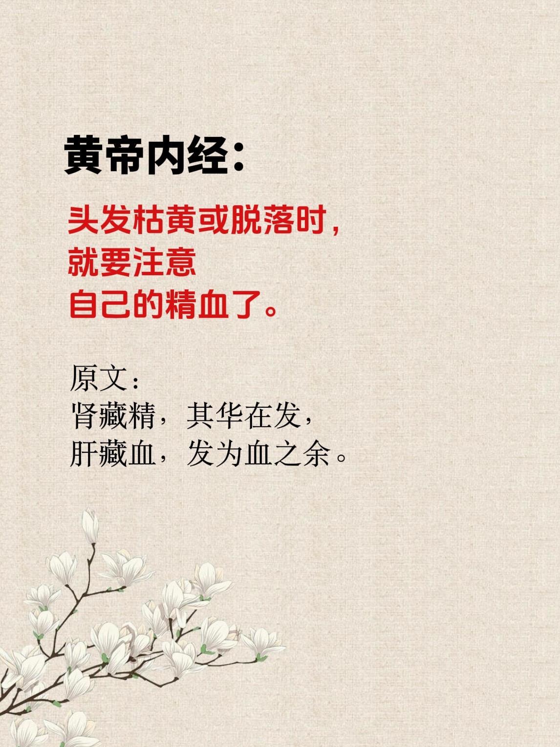 惠及全家的老祖宗智慧书，后悔没早点读到！如果你看不懂古文，那就试试这个...
