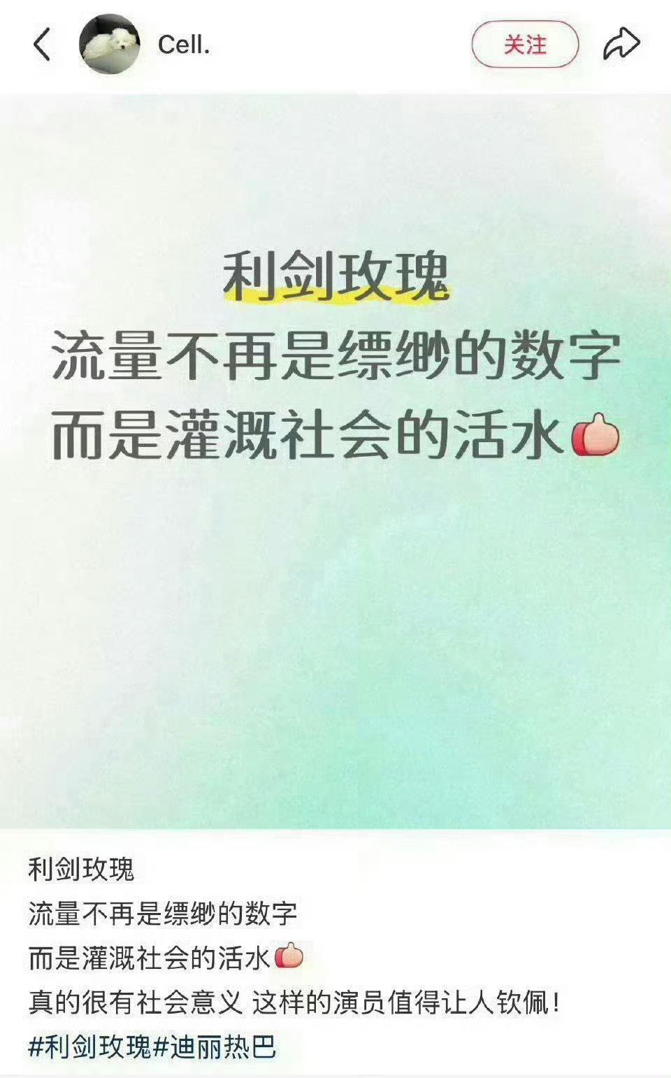白玉兰 利剑玫瑰台网口碑三爆，有社会价值，支持这个美丽的利剑玫瑰🌹 