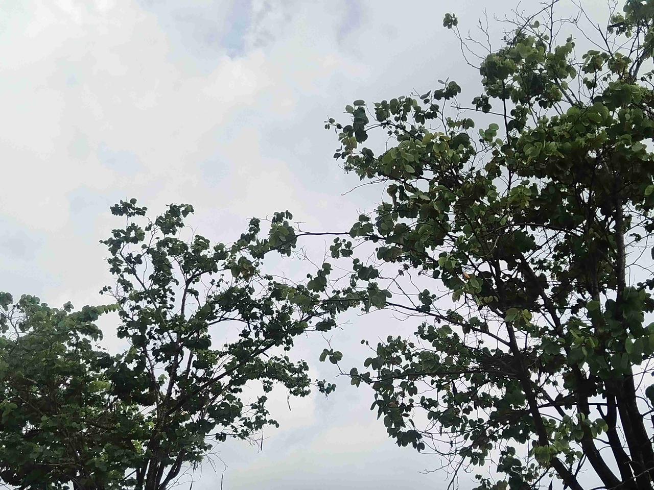 我的今日状态：😎自信酷炫
我这里的天气：☀️晴天
七月的夏，热烈无比，注意防晒