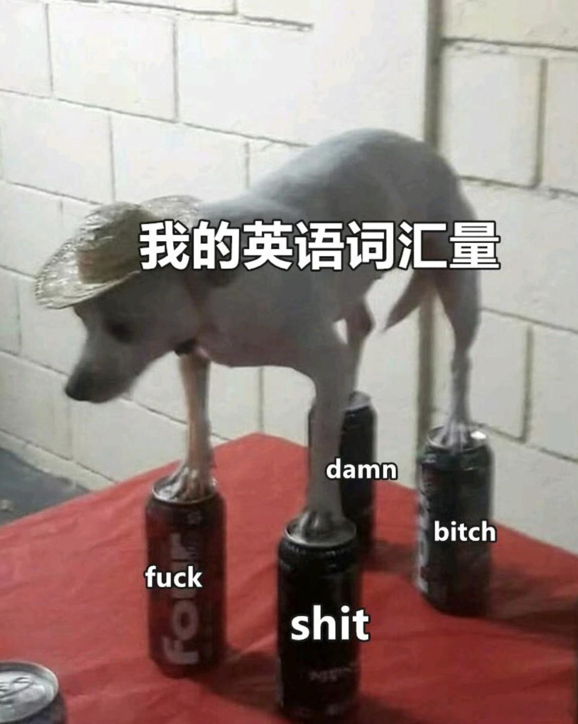 我词汇量： 