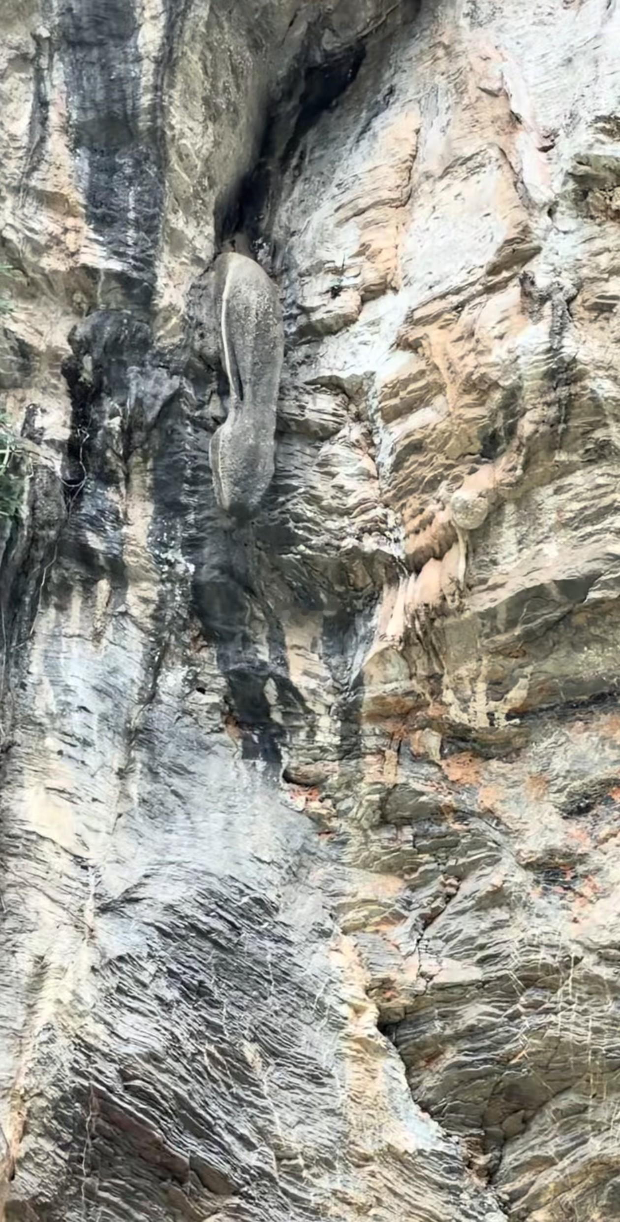 重庆深山发现一块奇特的石头 酷似一条巨蟒的头…… ​​​