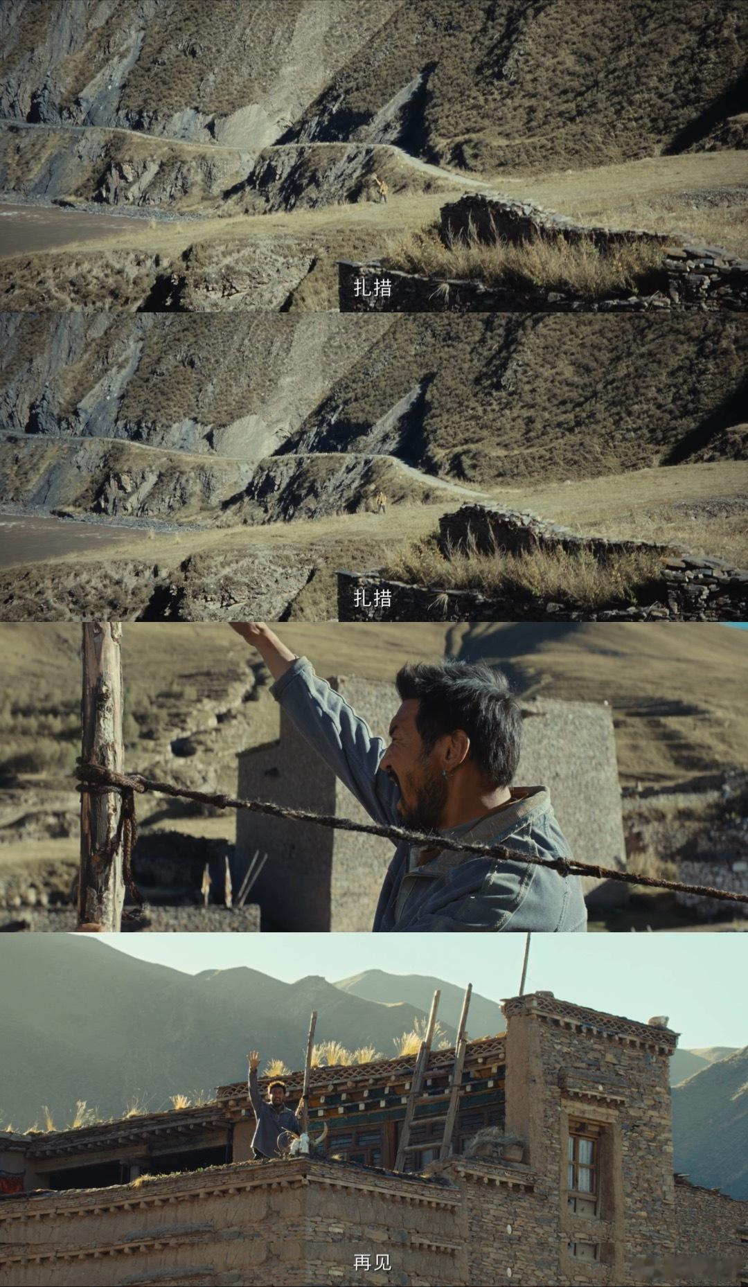 生命树 冷幽默 总能在他们幽默的对话中找到共鸣，生活的乐趣原来可以如此简单又真实