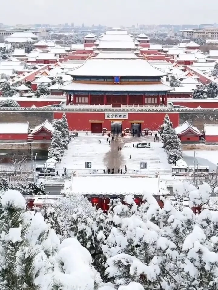 北京初雪最新实况😭酒店大跌已杀疯.....