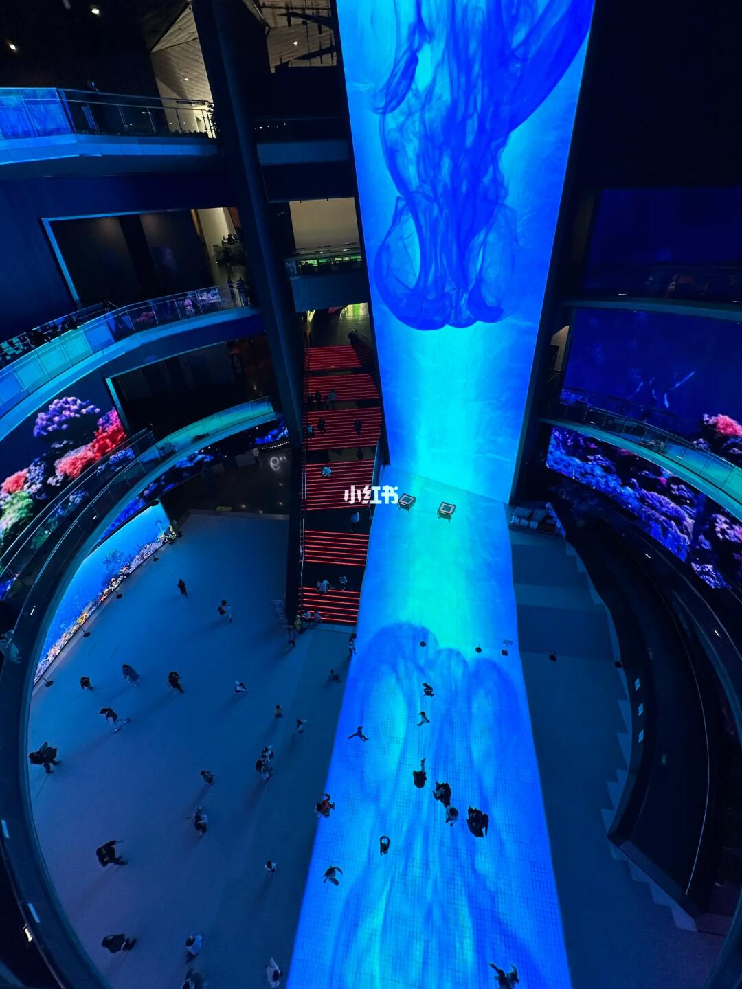 我宣布📣这里是寒假遛娃体验的天花板，最主要还免费看电影🎬
这是中国电影博物馆...