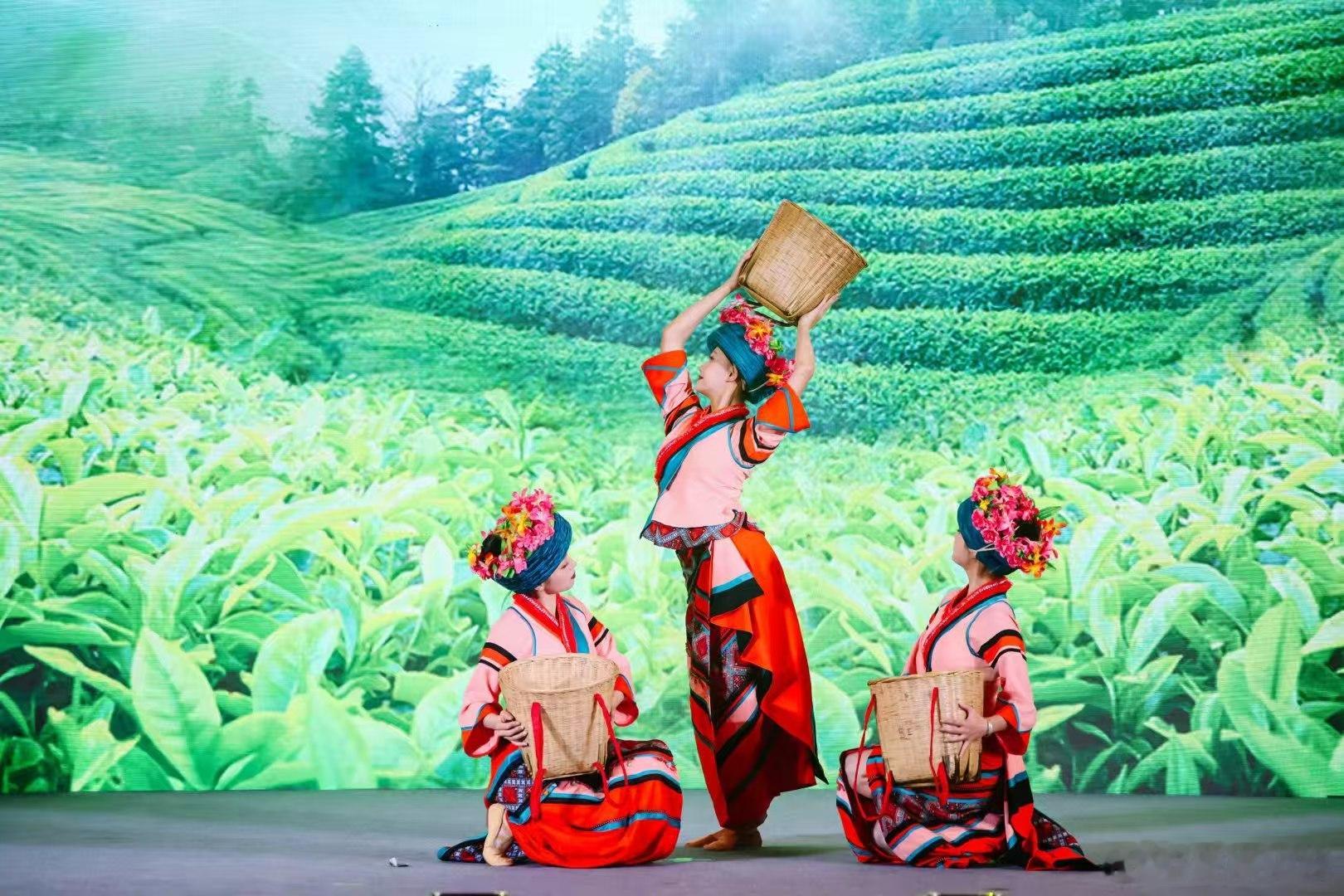 首届南亚东南亚网红创作者大会外眼看云南 盛会正式启幕！各国网红深入云南采风，以镜
