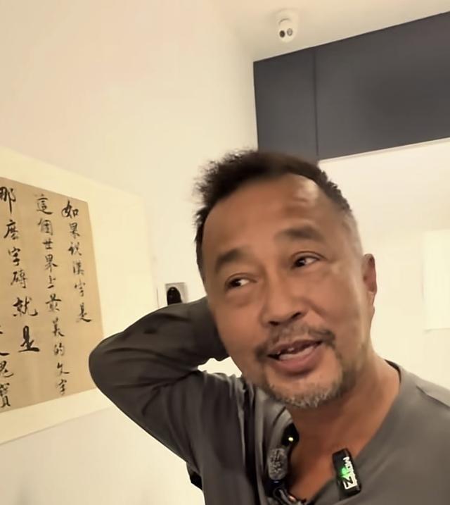 沈巍说“履薄临探”是错的，应该是“履薄临深”，结果网上吵翻了。很多人不服，觉得他