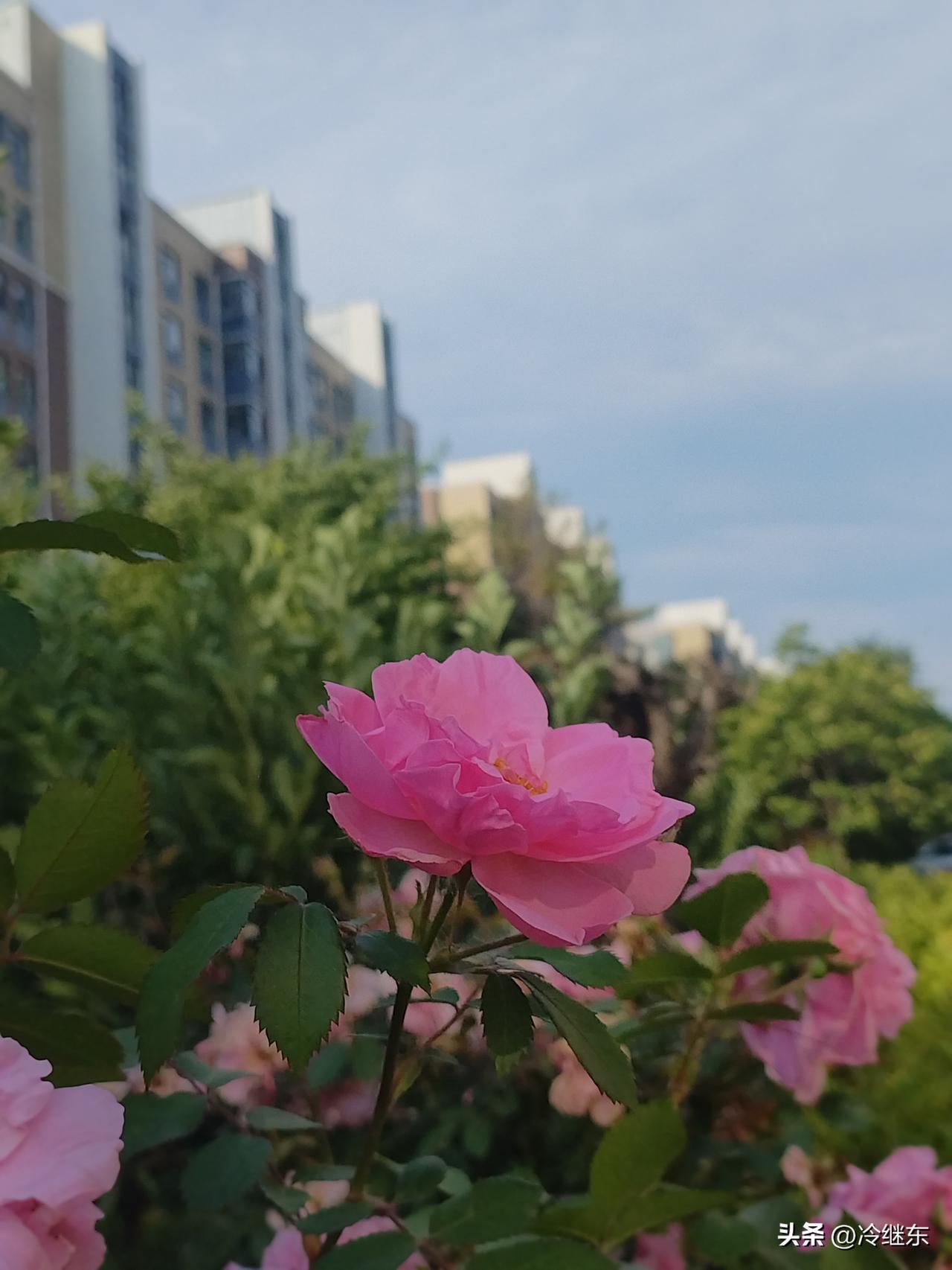 高考志愿填报会不会选择填报大城市？如果是我，我一定会选择填报大城市。
   尽管