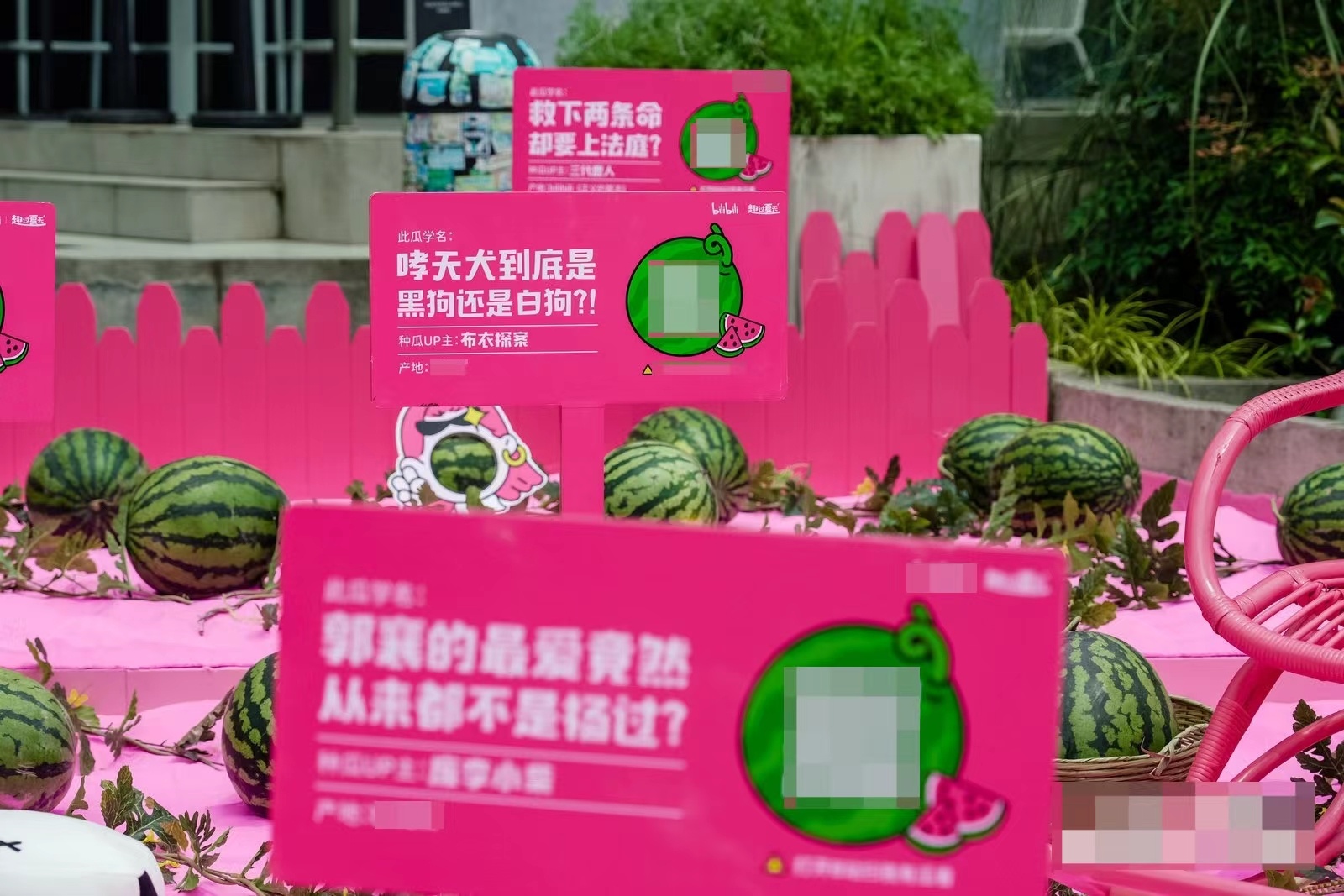 #还是头回吃这么花里胡哨的瓜# 你们吃的瓜都这么的花里胡哨的，只有我一个人是吃的