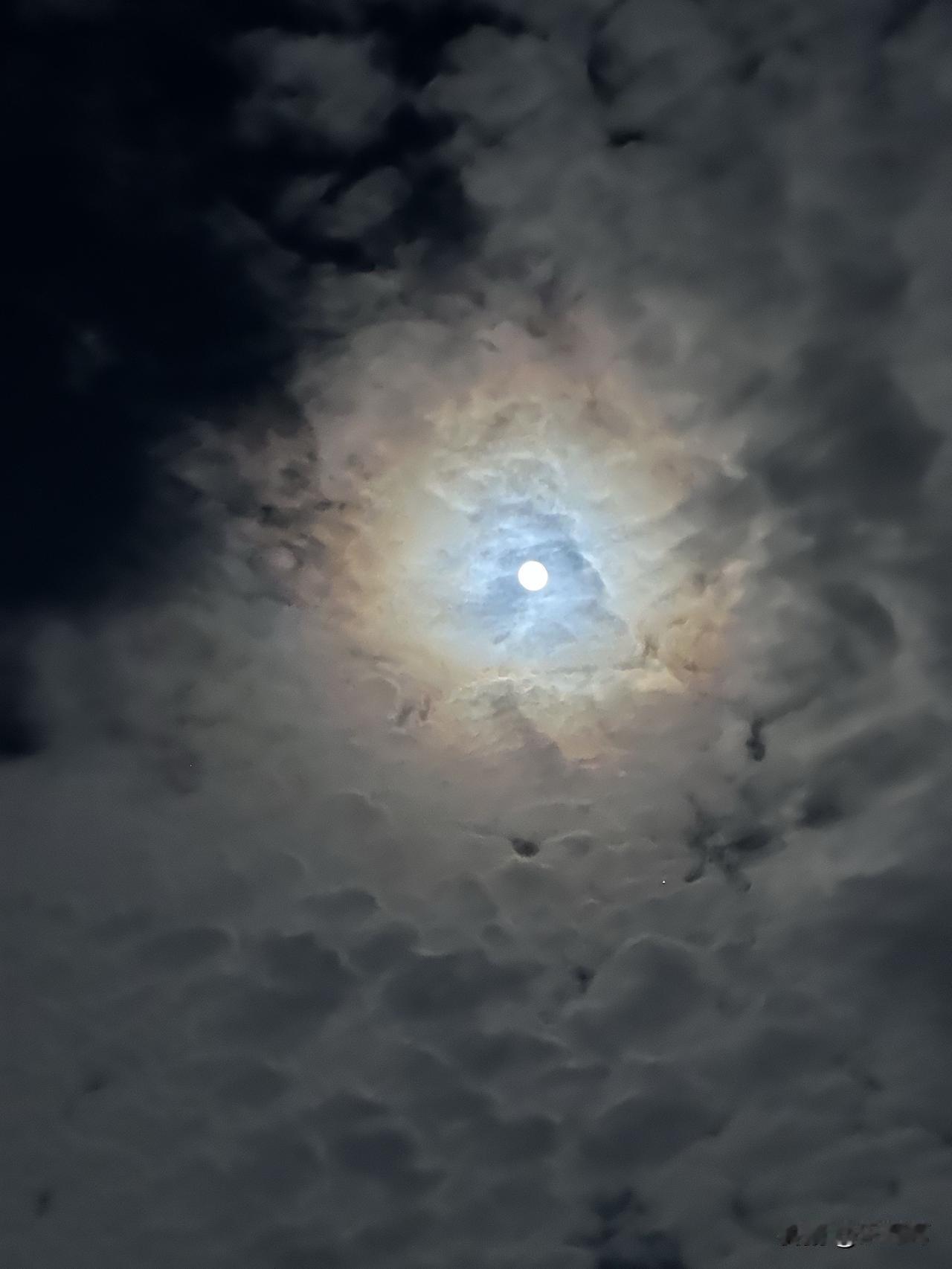 分享一下你随手拍下的照片昨日的月亮，藏在云朵中，晕染了身边的云。