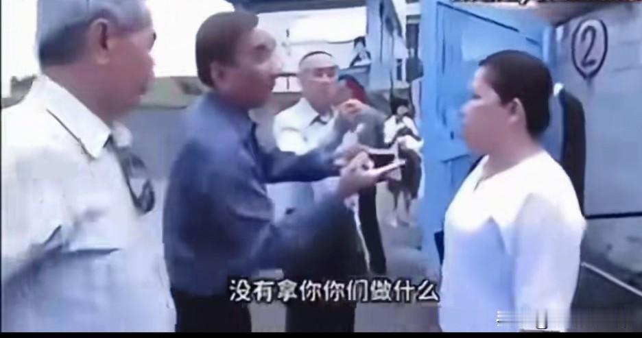 马来西亚华人在马来西亚看到了台独分子，他们不由分说，一上去就臭骂起来，几个台独分