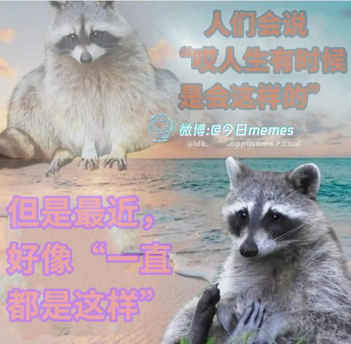 一样啊（9gag）今日meme 今日memes
