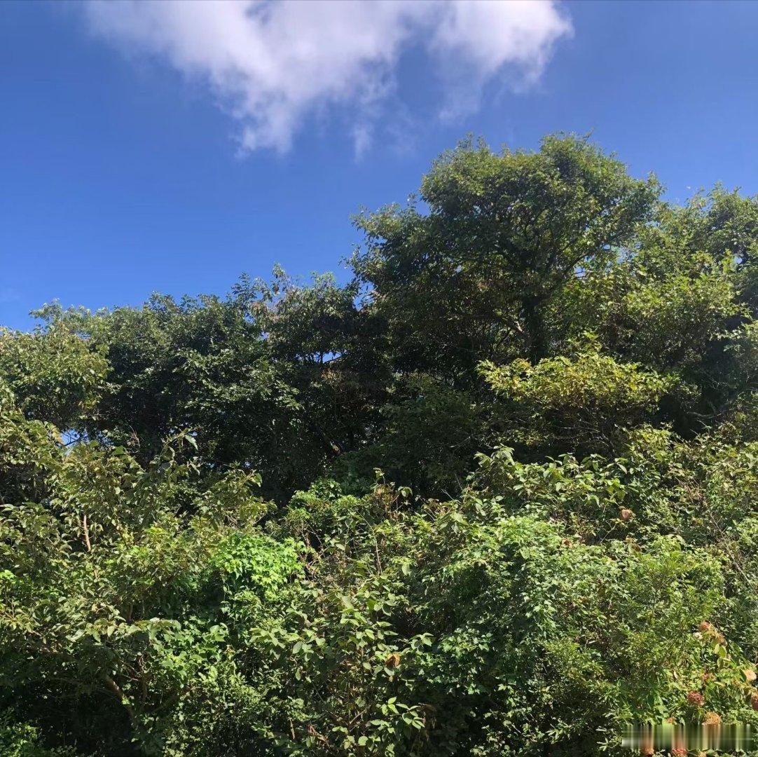 一切境遇，皆是因缘果报，不必嗔怪旁人。善缘带给我们安乐，逆缘教会我们成长，纵使遇