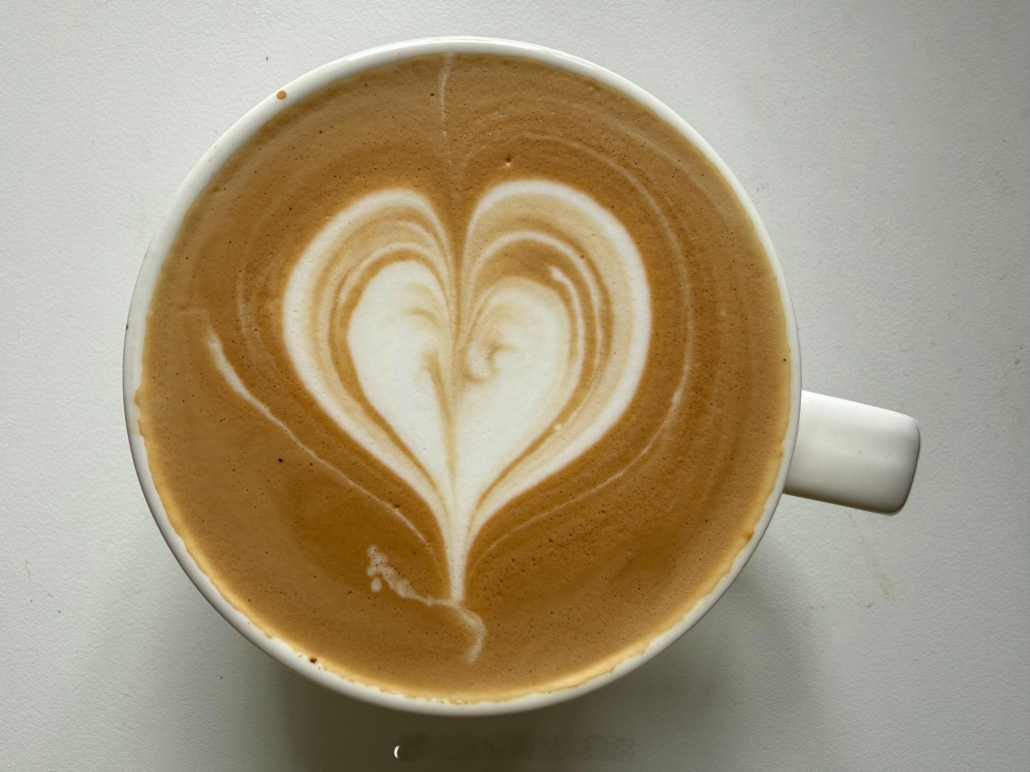 看起来像萝卜。咖啡拉花