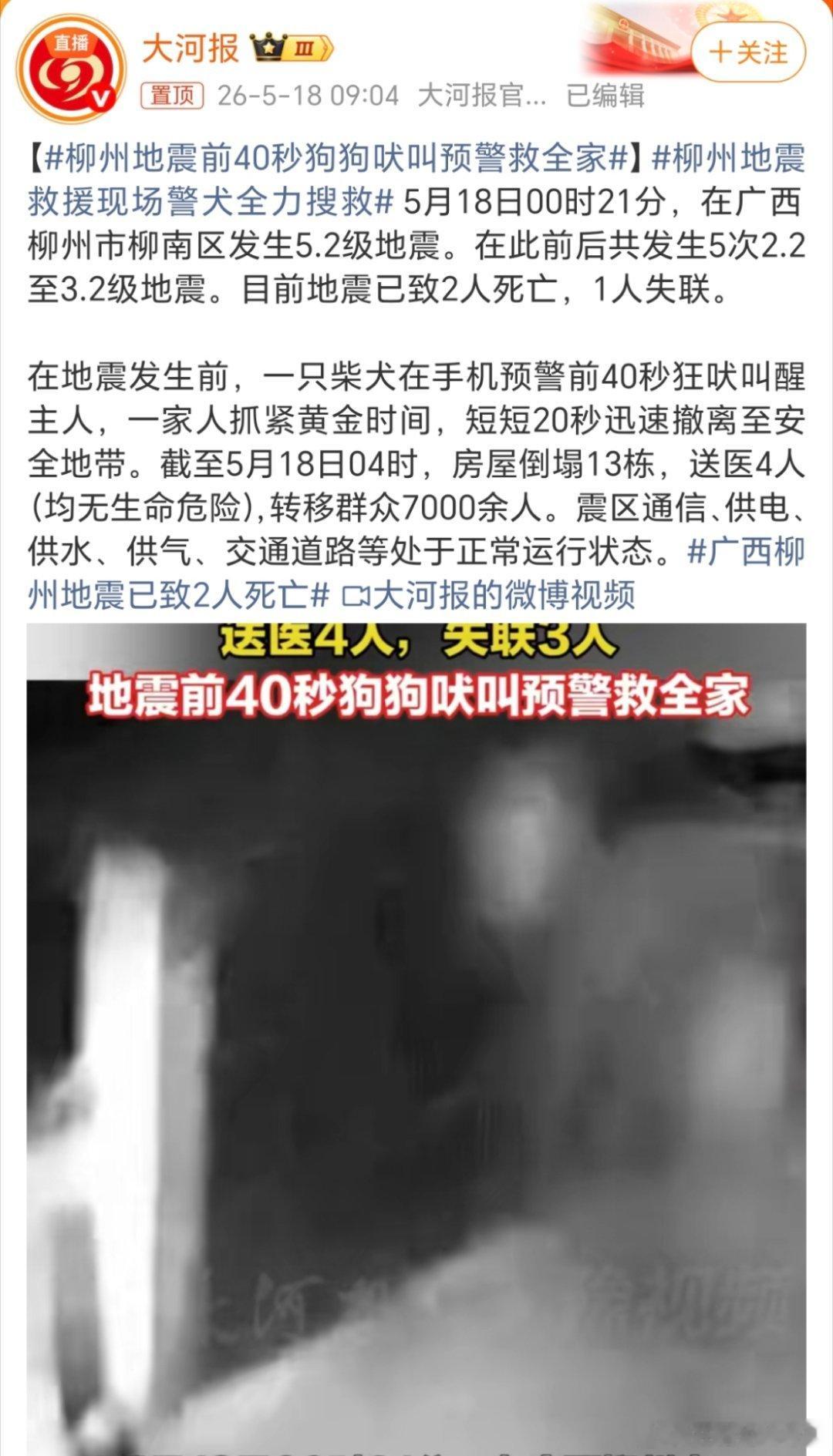 柳州地震前40秒狗狗吠叫预警救全家动物还是有灵性的！