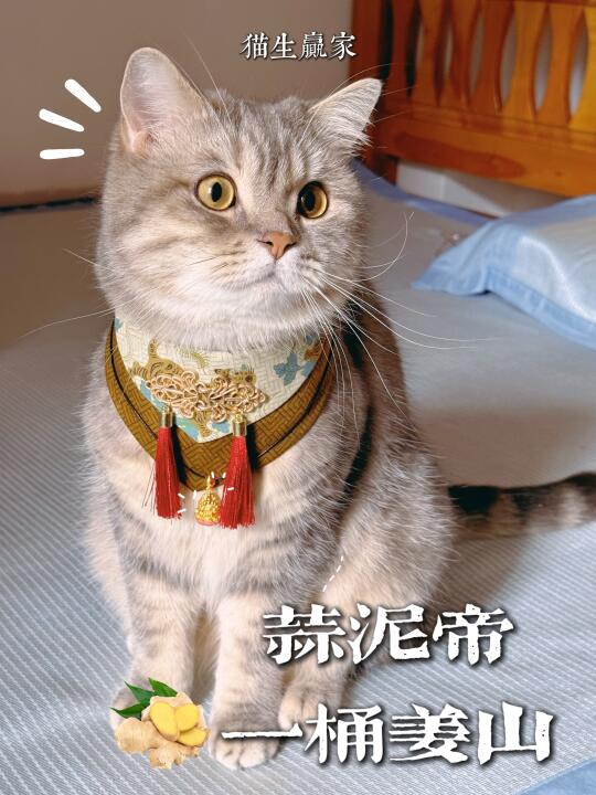 蒜泥宝宝生日快乐🎂🎉