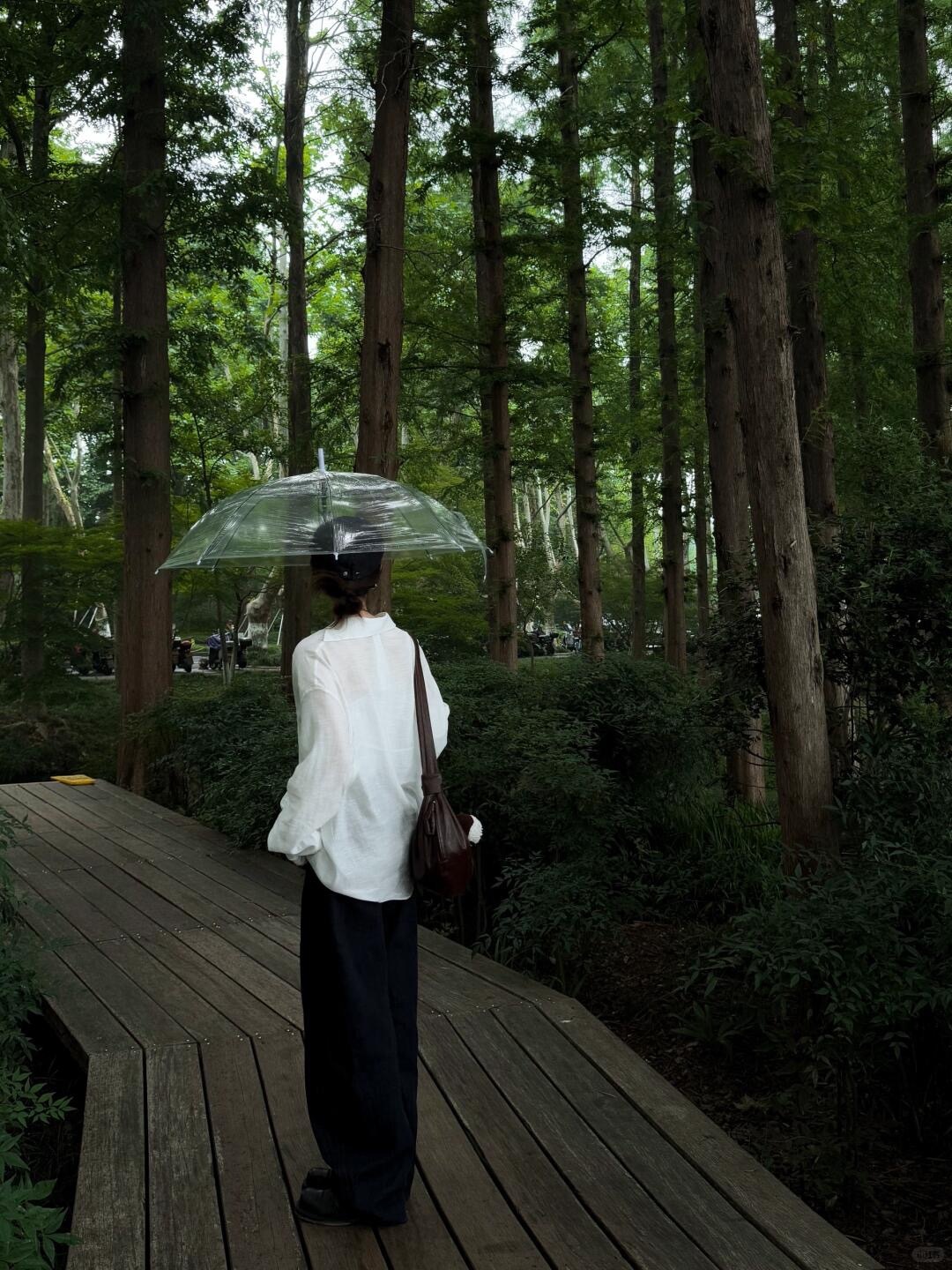 当在生活中遇到了比你家庭条件好、比你家庭更为圆满的人，你不要去自卑，反而要自信，