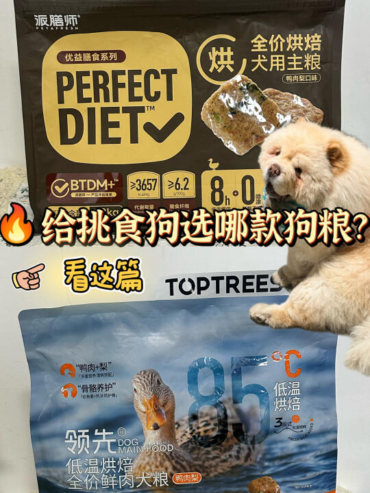 标题：家里狗狗挑食怎么办？看这篇就行！