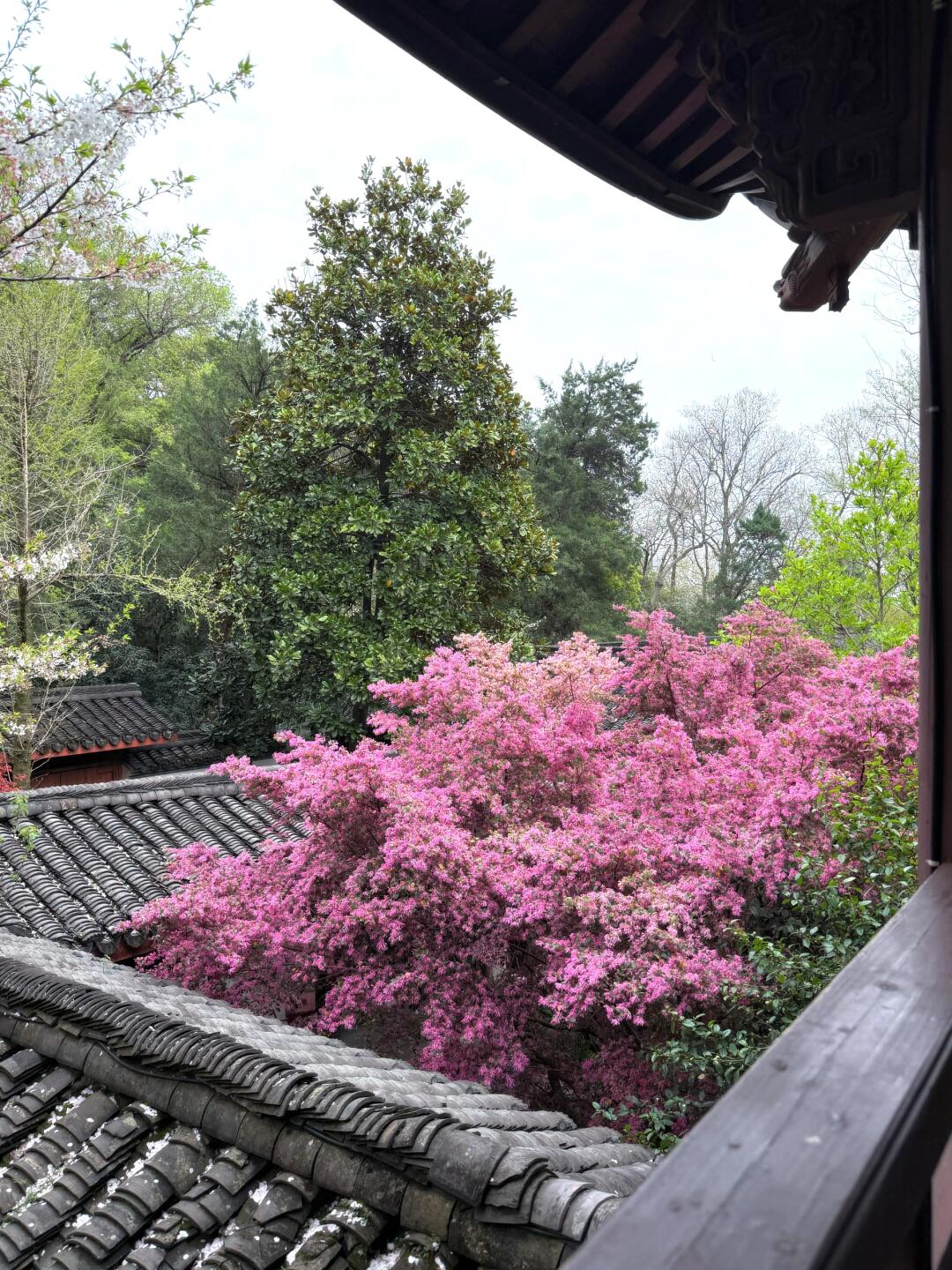 为了这个咖啡窗景也值得来趟杭州