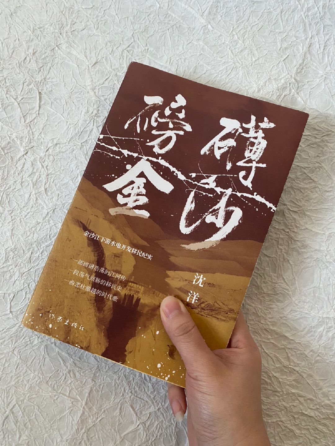 水电开发移民——被牺牲的局部，被忽视的群体