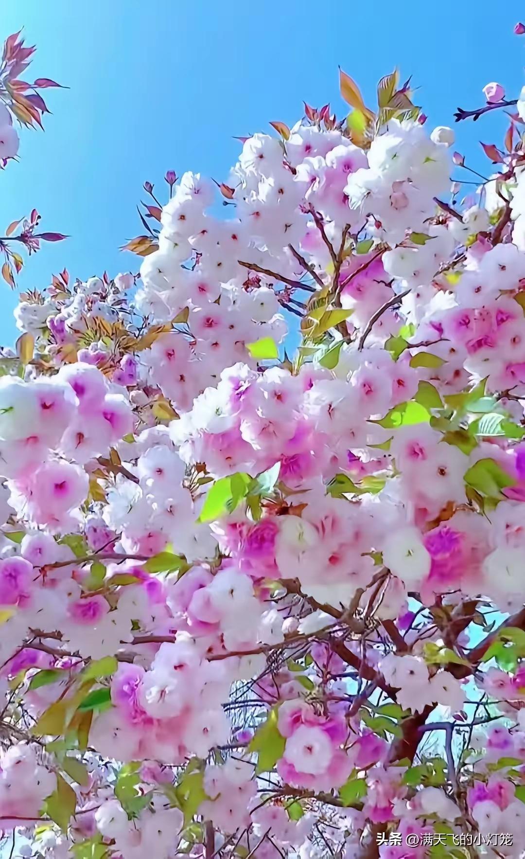 母亲是你这一辈子的贵人，妈妈这两个字，任何时候喊出来都会感到无比温暖，因为她是这