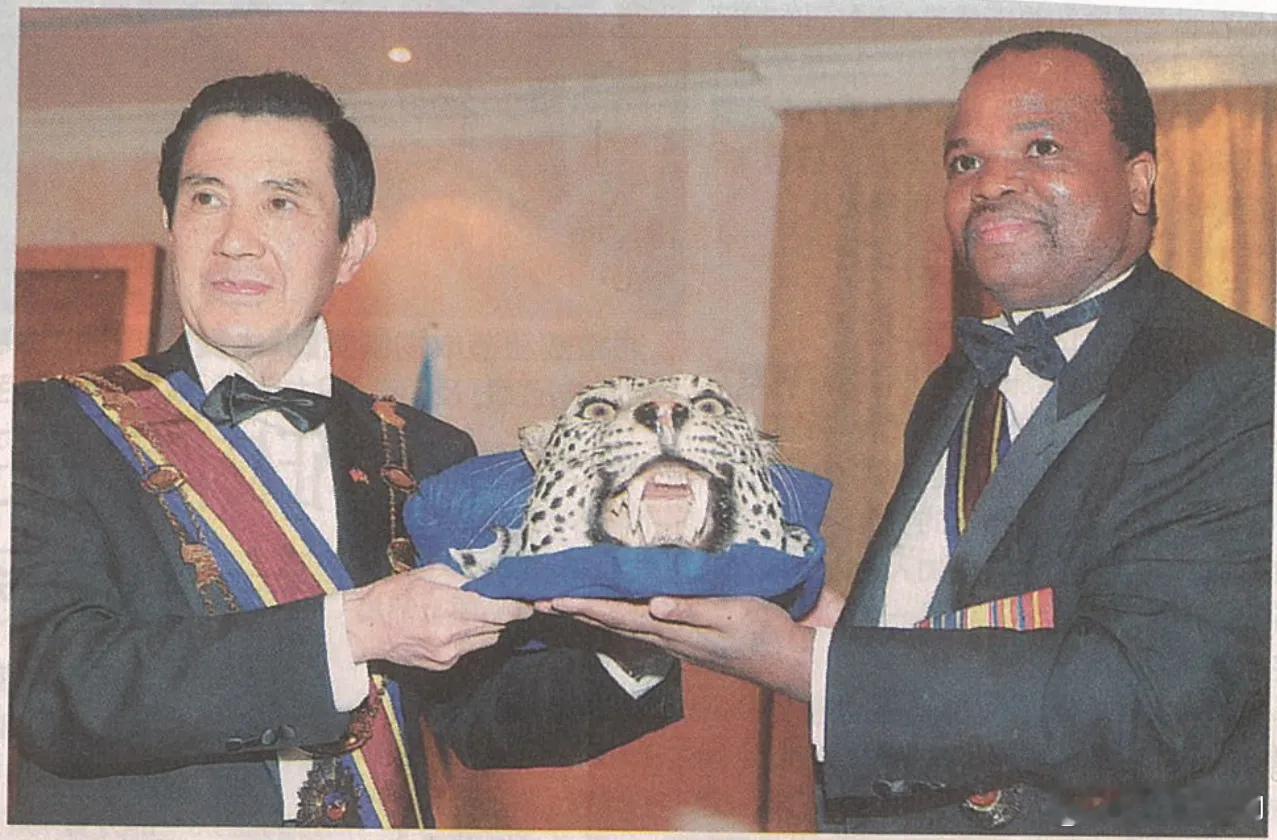 斯威士兰国王曾向来访的马英九授勋并赠送豹头标本。 