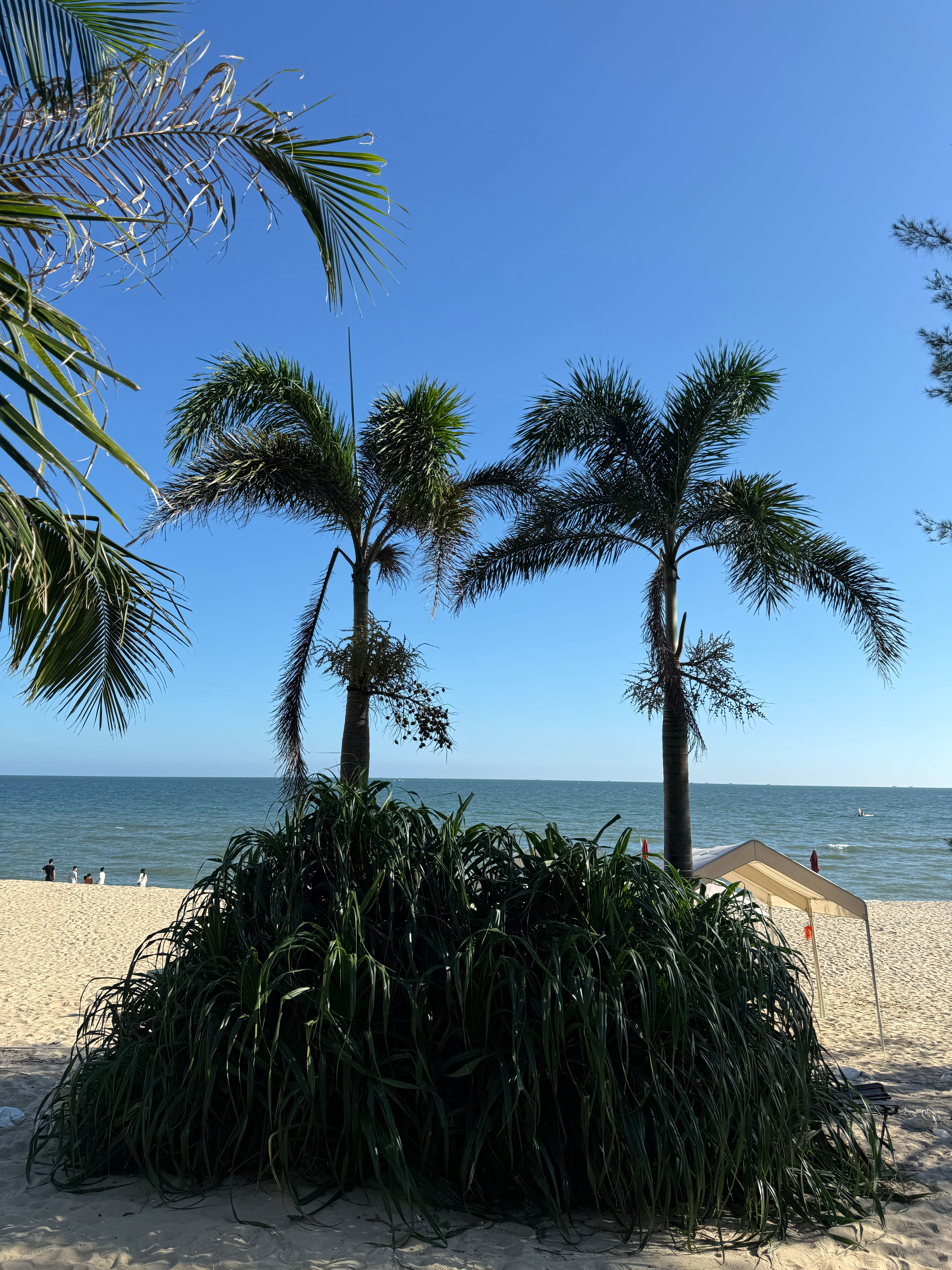 美，太美了 汕尾·金町湾旅游区