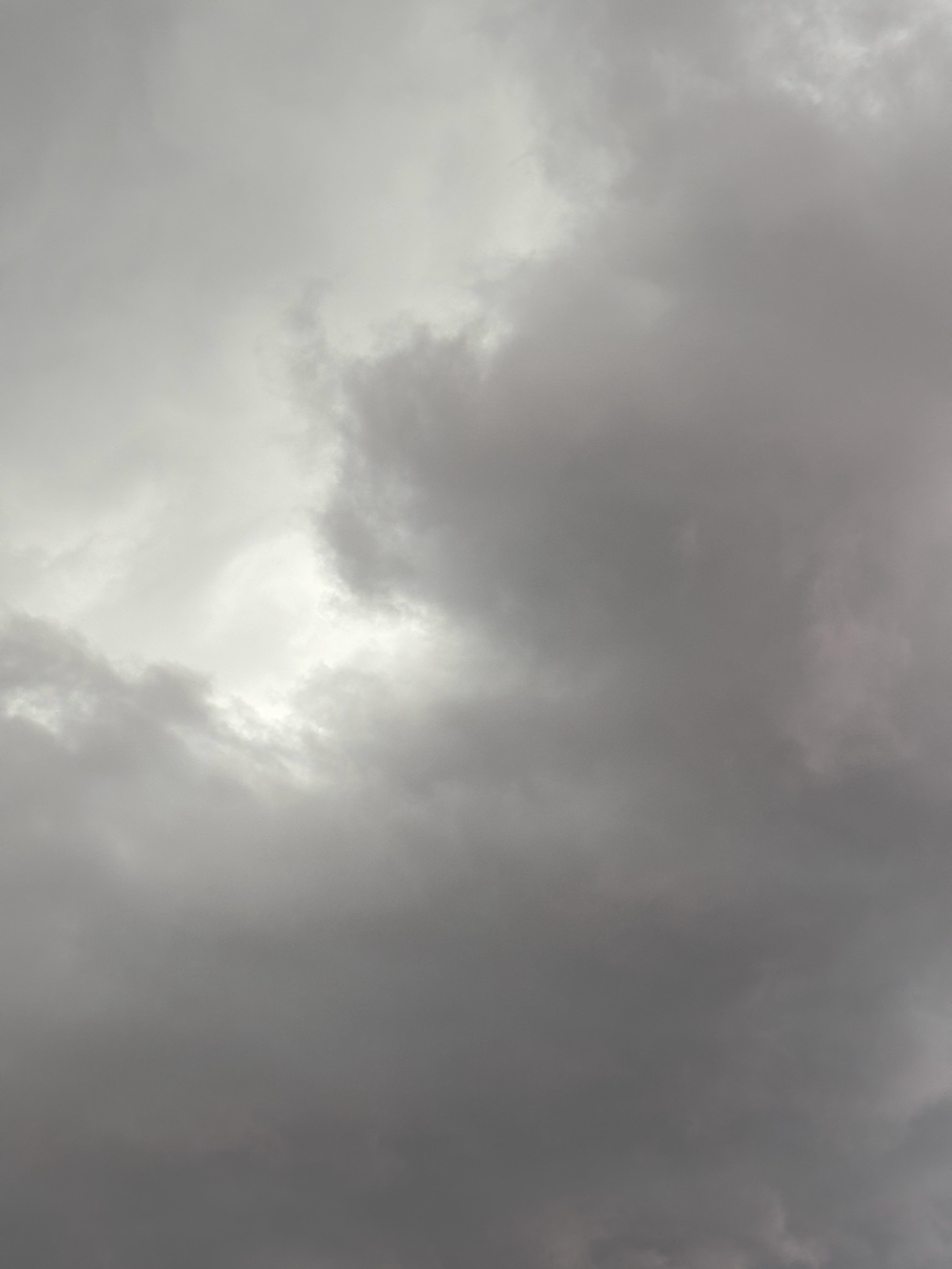 暴雨袭来 