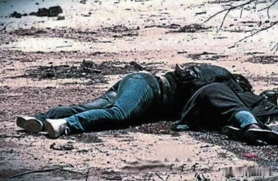 这是一个真实的故事，1993年波黑内战期间，塞族青年博什科与穆斯林姑娘阿迪亚相爱