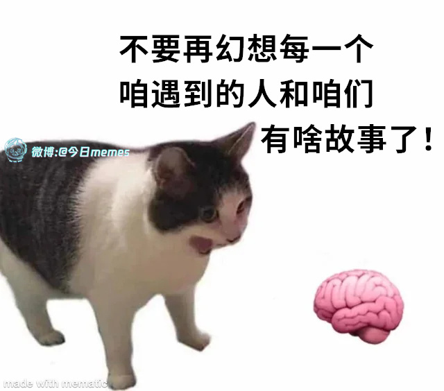 思道普（9gag）今日meme 今日memes