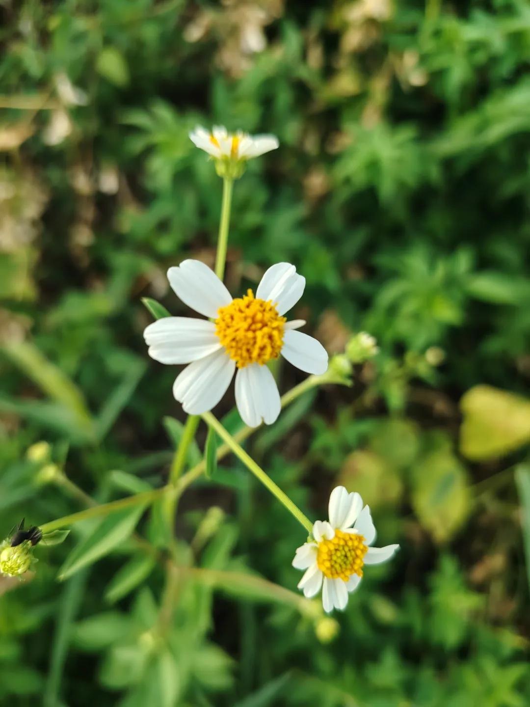 记录我的2026平凡铸就伟大，英雄来自人民。每一份伟大的成就，都源于平凡岗位上的