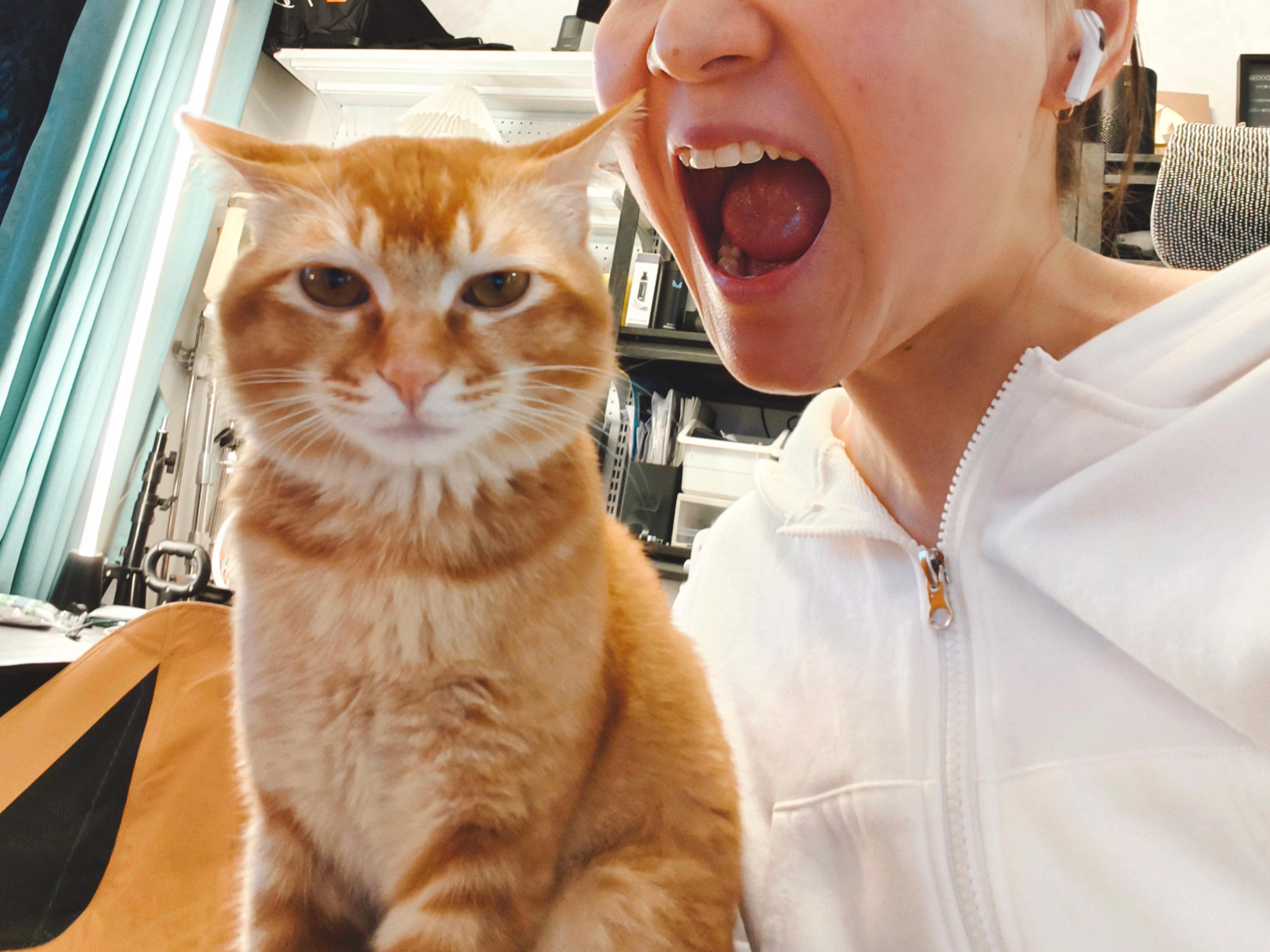 今年养猫给我带来了很多小确幸。🐈从来没想过会有养猫的一天，一切皆因缘。但也得要