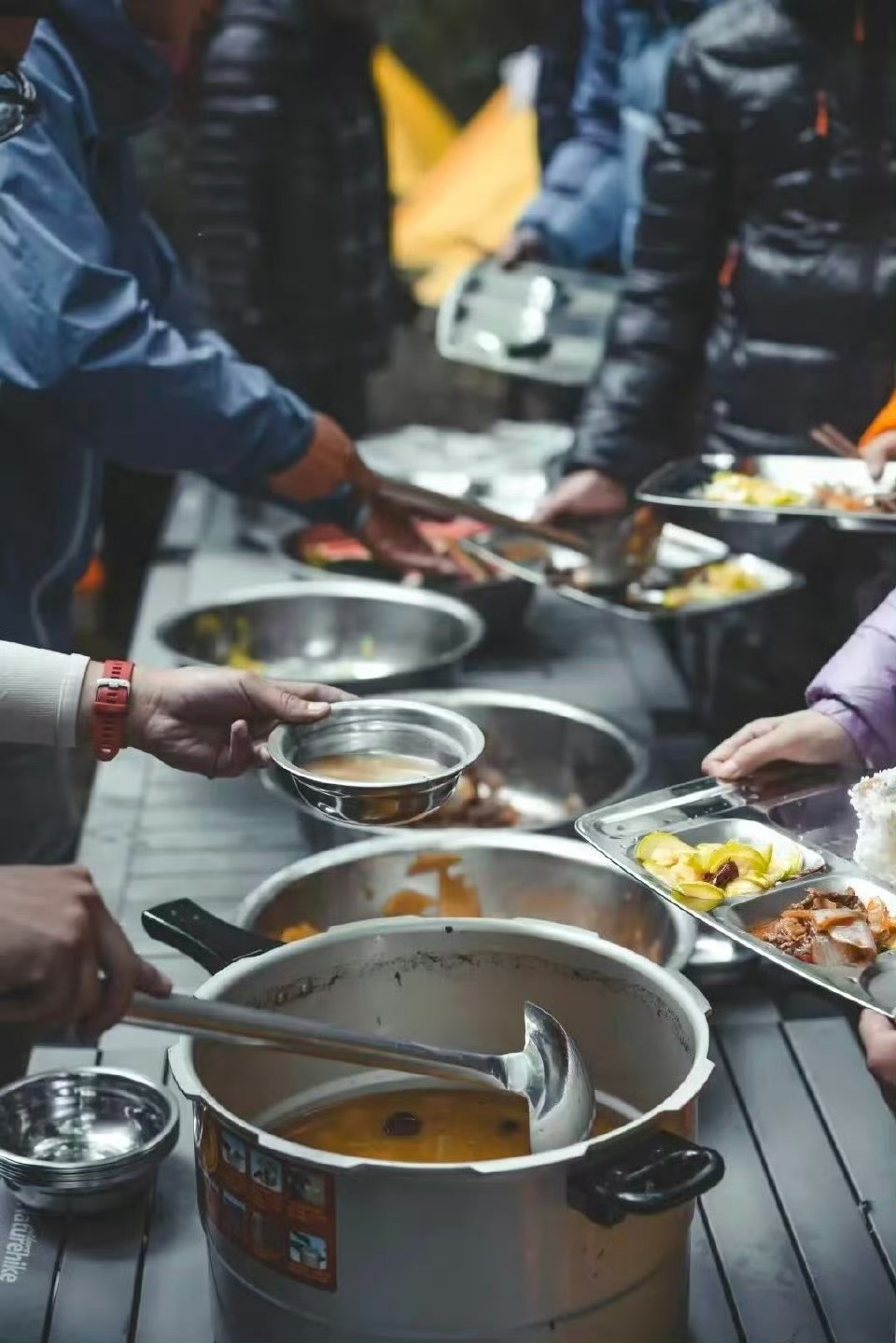 张国伟荒野求生翻车荒野求生选手的尽头是外卖吗 荒野求生可是一个学问很大的事情，不