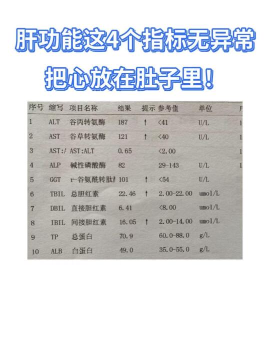 肝功能4个指标无异常，把心放在肚子里！
