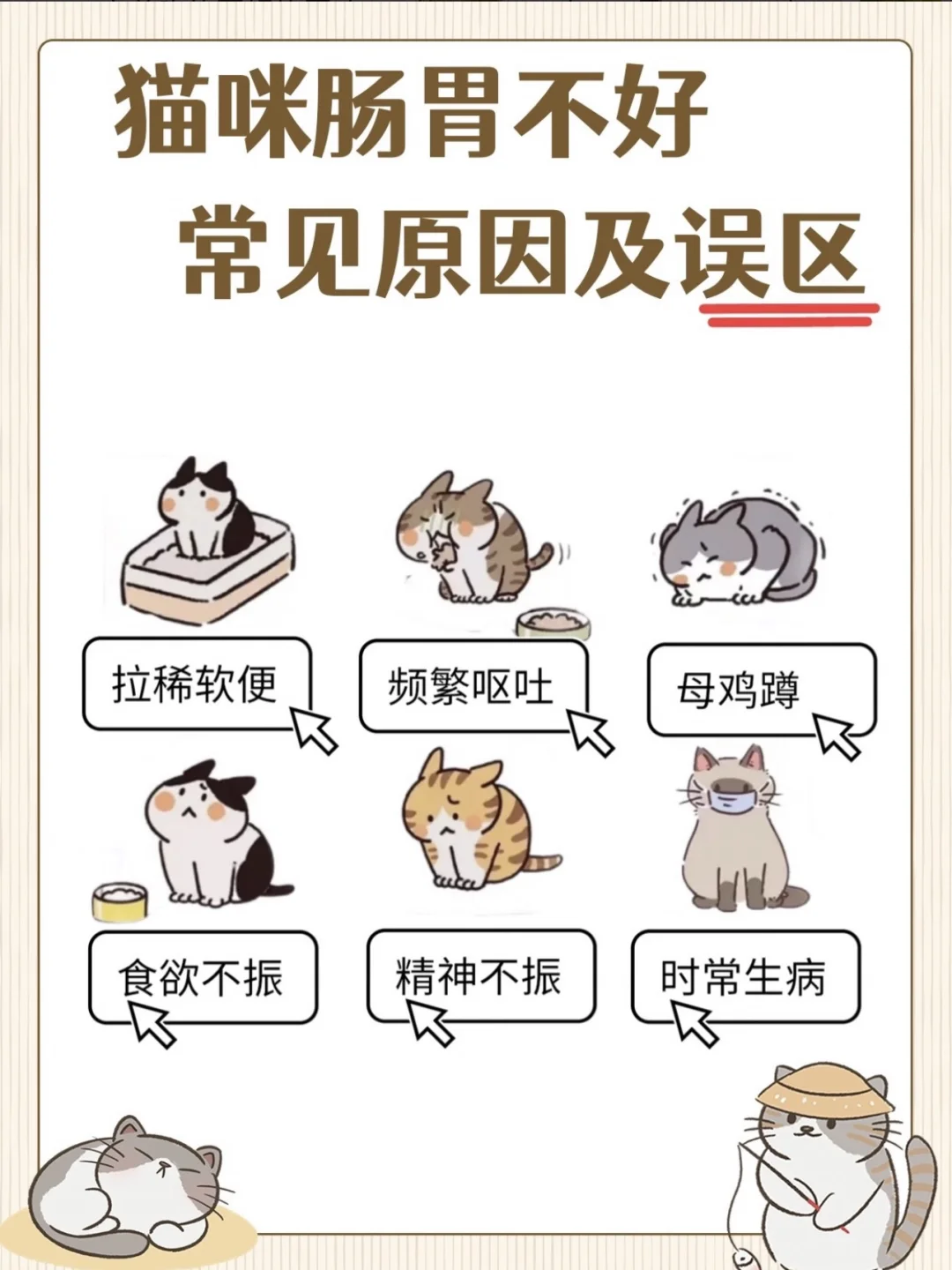 猫咪肠胃不好怎么破？这么养成功逆袭