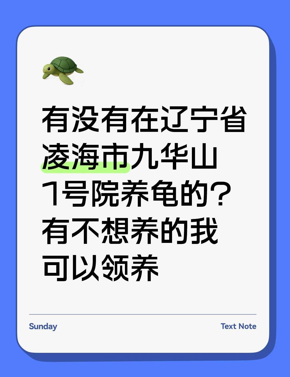 不懂就问有问必答 万能的 收养 救助动物 领养取代买卖 拒绝弃养 宠物救助 小乌