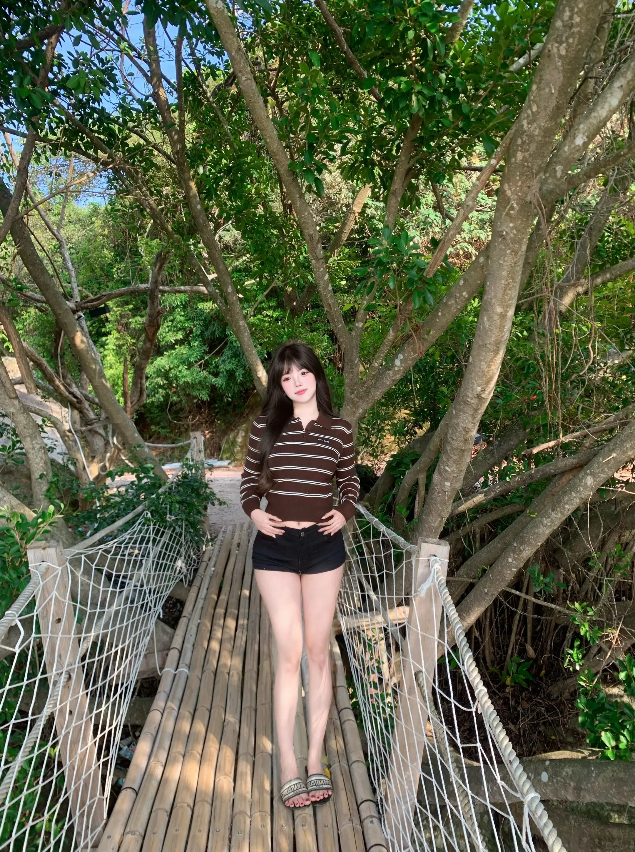 怎么这个六月吹来一阵轻风