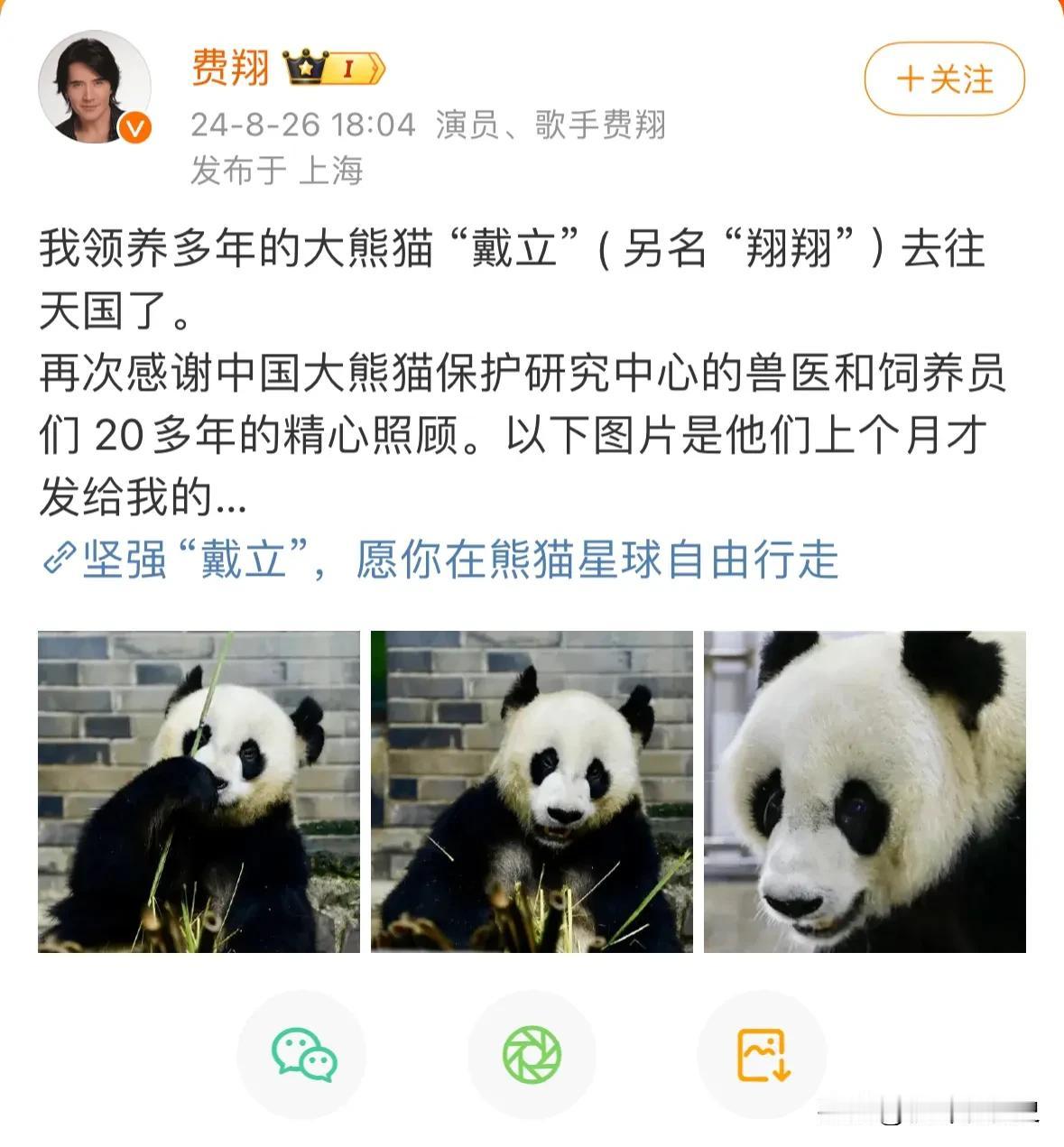 费翔发了大熊猫戴立去世的消息
大王是真的很喜欢戴立大叔

戴立，也是大王最勇敢的