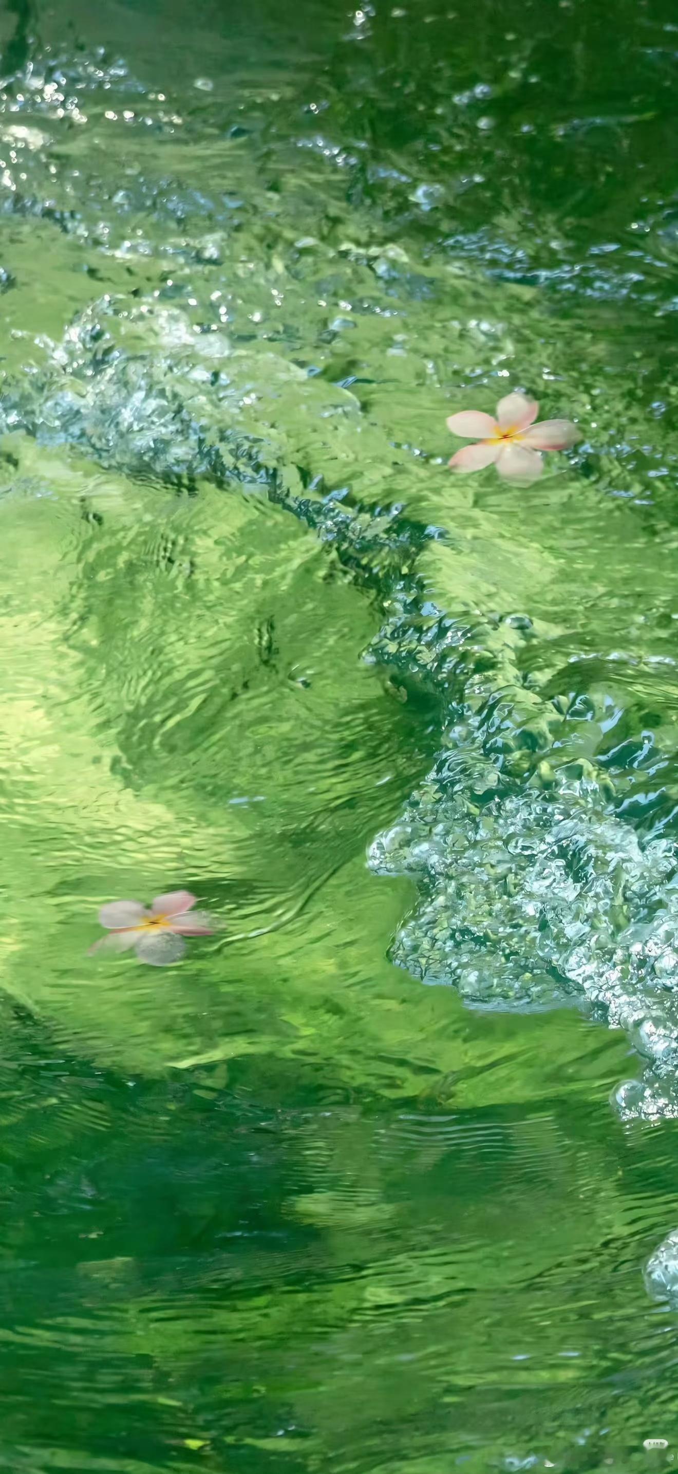 巨蟹♋女♀为什么容易喜欢双鱼🐟男♂双鱼🐟座温柔体贴😌他们的脑海中满是奇思妙