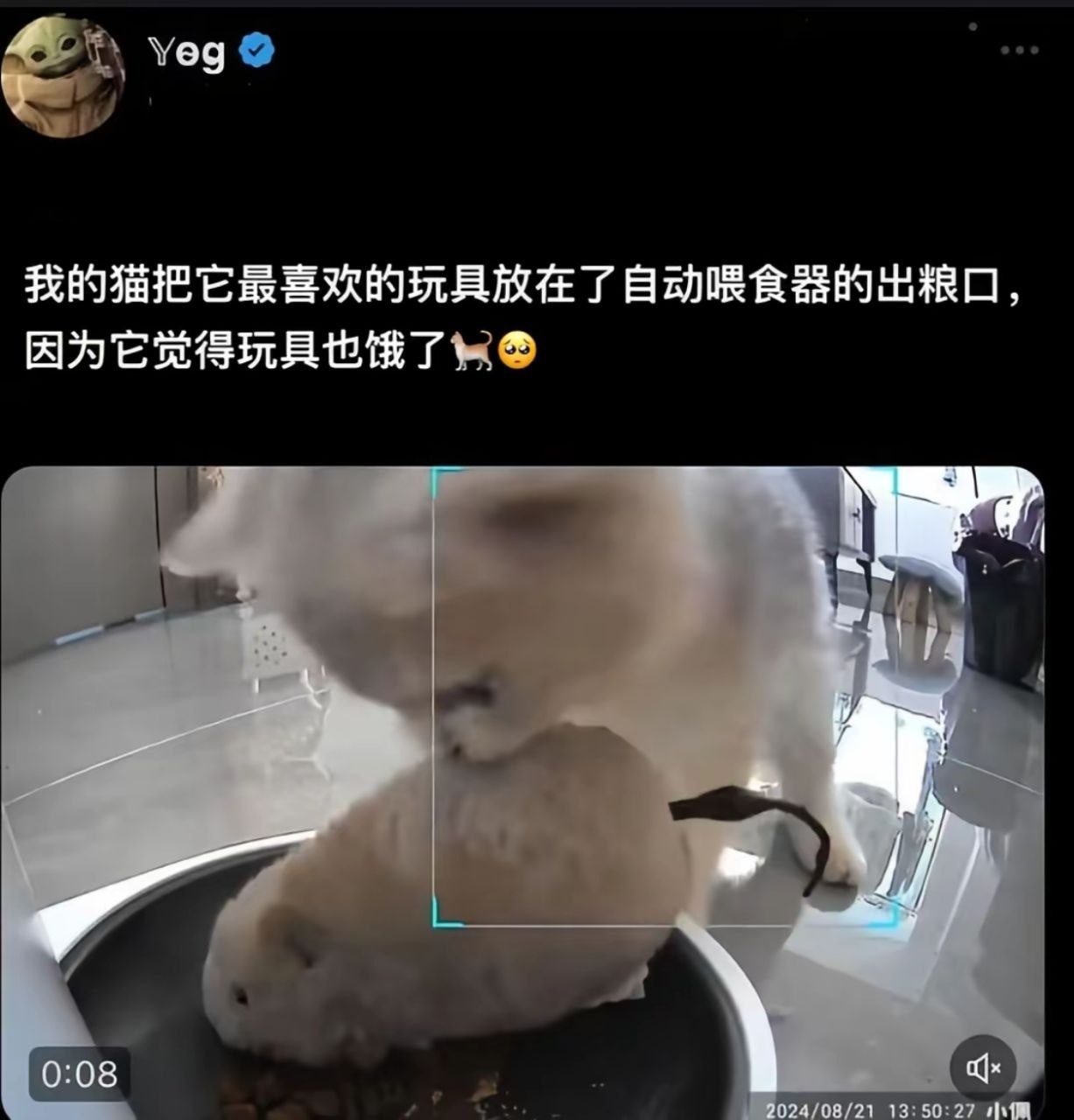 可爱捏 