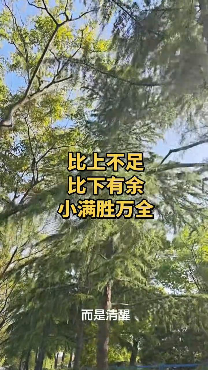 比上不足，比下有余。
比上不足，比下有余。这句话真不是安慰，而是清醒。记住，别老