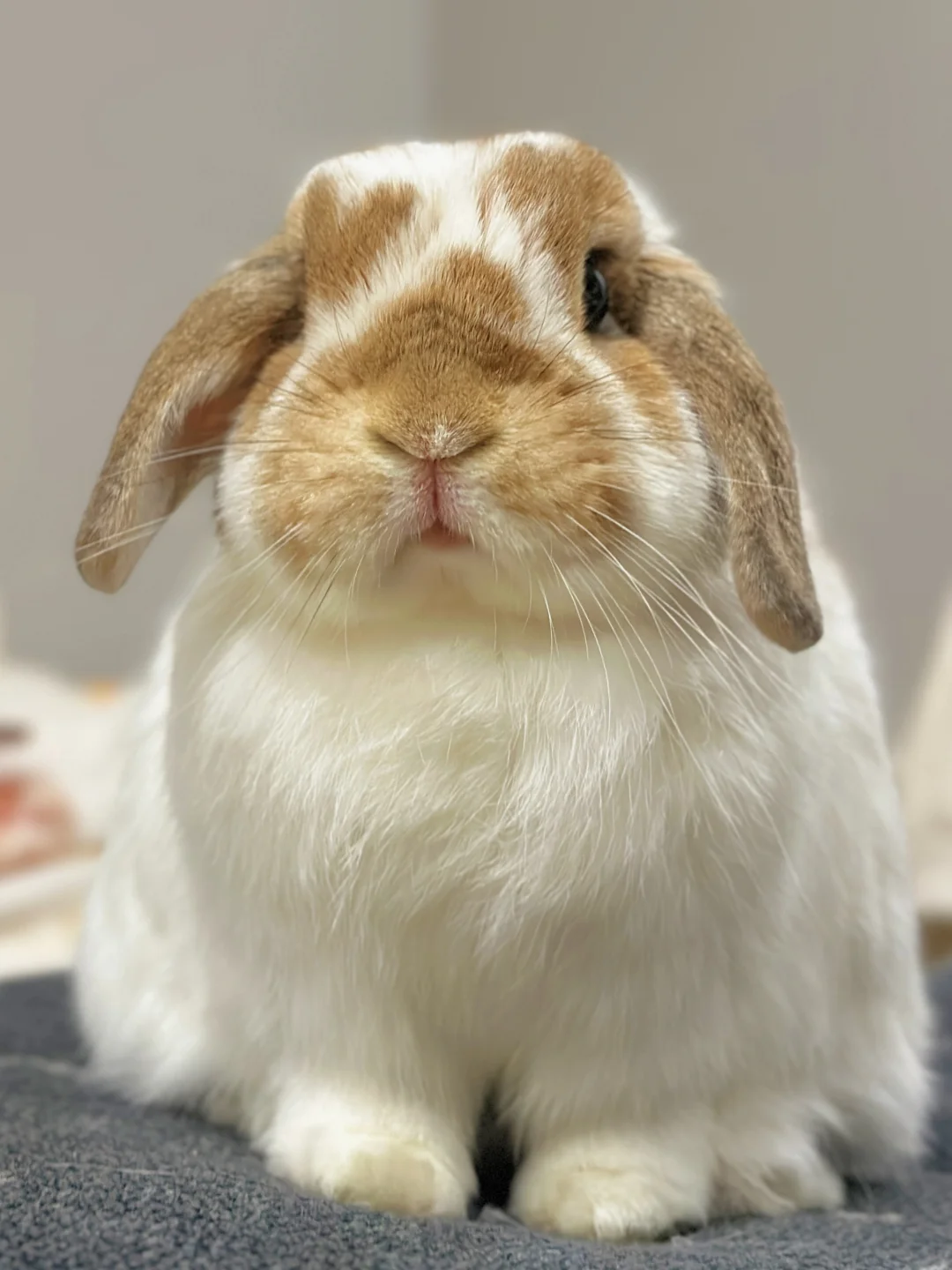 头身比完美 😍