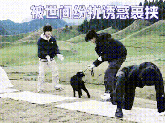 这个泽泽就这样逗他哥的小羊吧！ ​​​