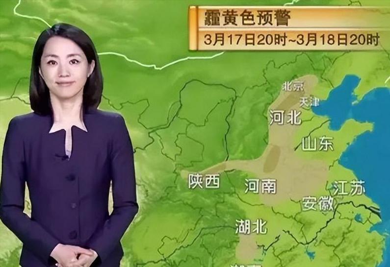 央视主持人杨丹刚结完婚，就与丈夫佟强约定，要一辈子丁克。杨丹的婆婆很是反对，可是