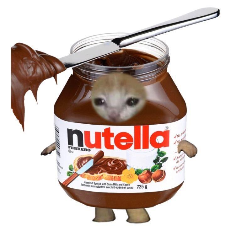 万物皆可猫猫 ​​​