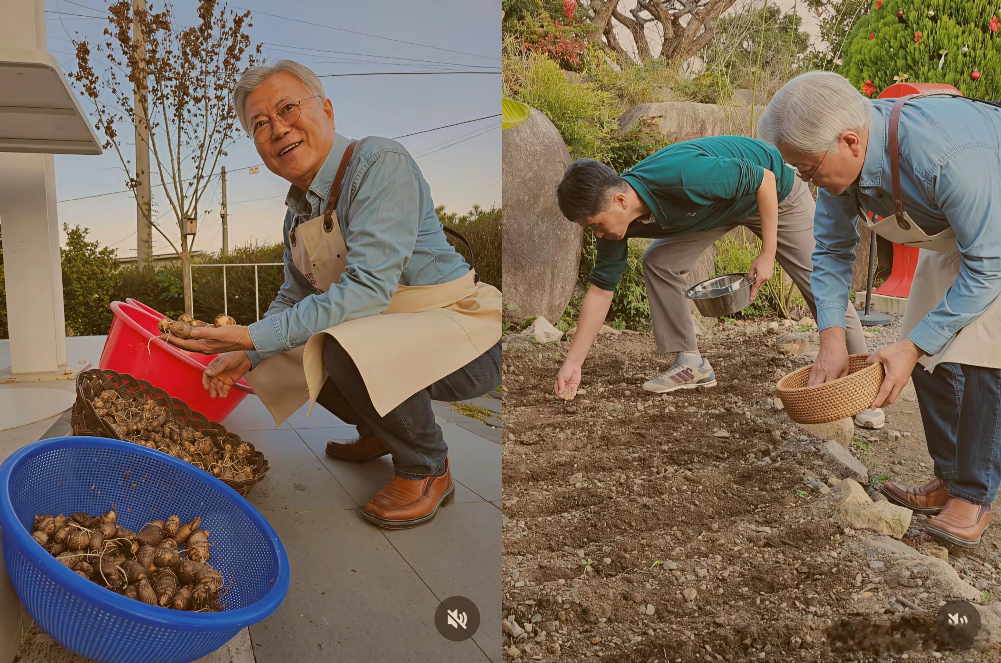 73岁的文在寅在乡下种菜，退休生活很是惬意。 