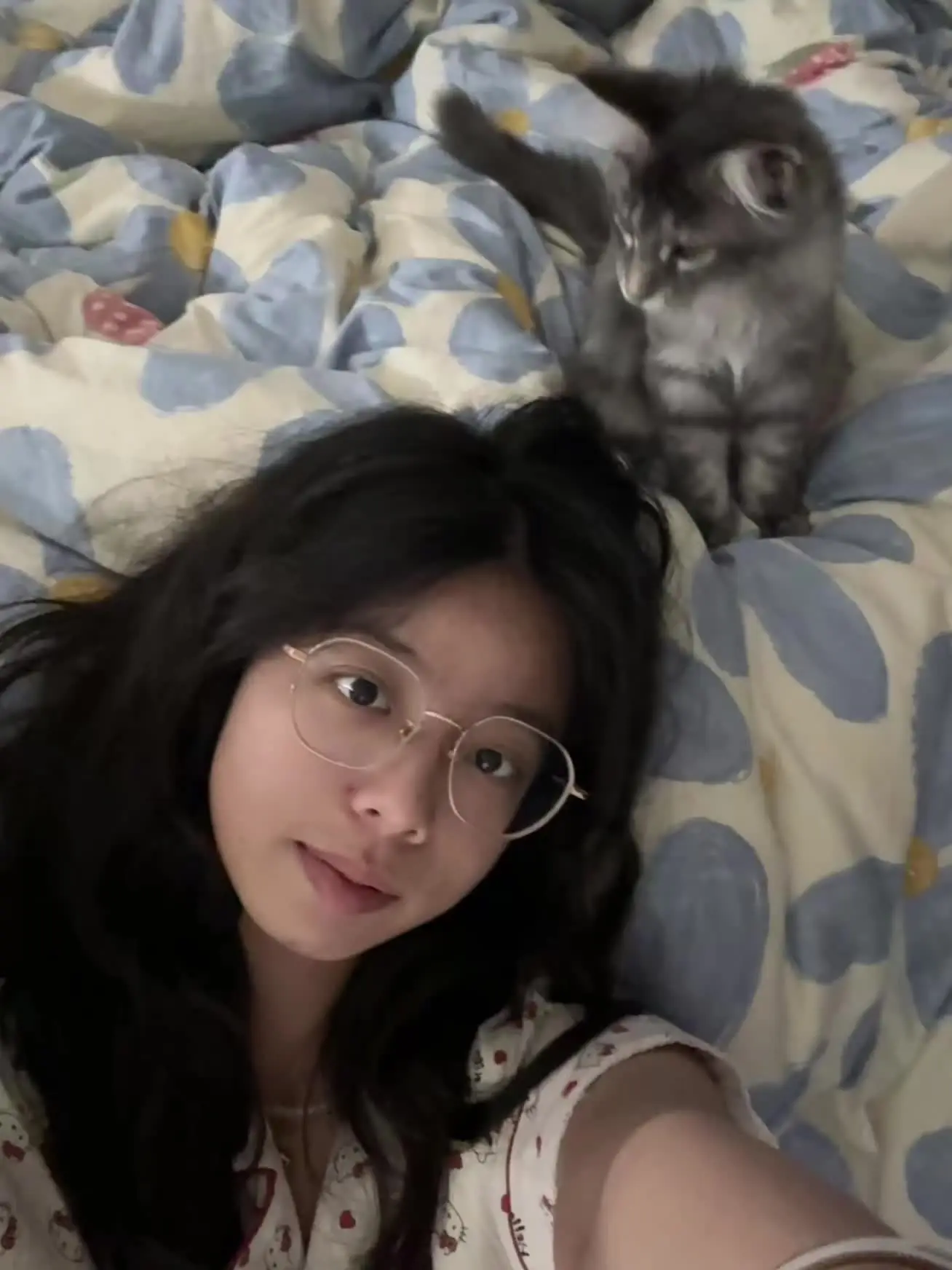 小猫一直响怎么办