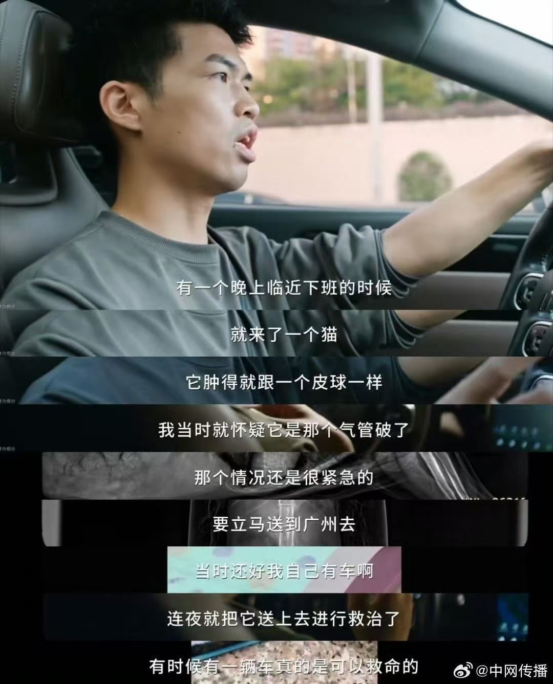 宠物生命摆渡车毛孩子的专属急救通道 毛孩子的移动生命通道🚑 从顺德到广州，70